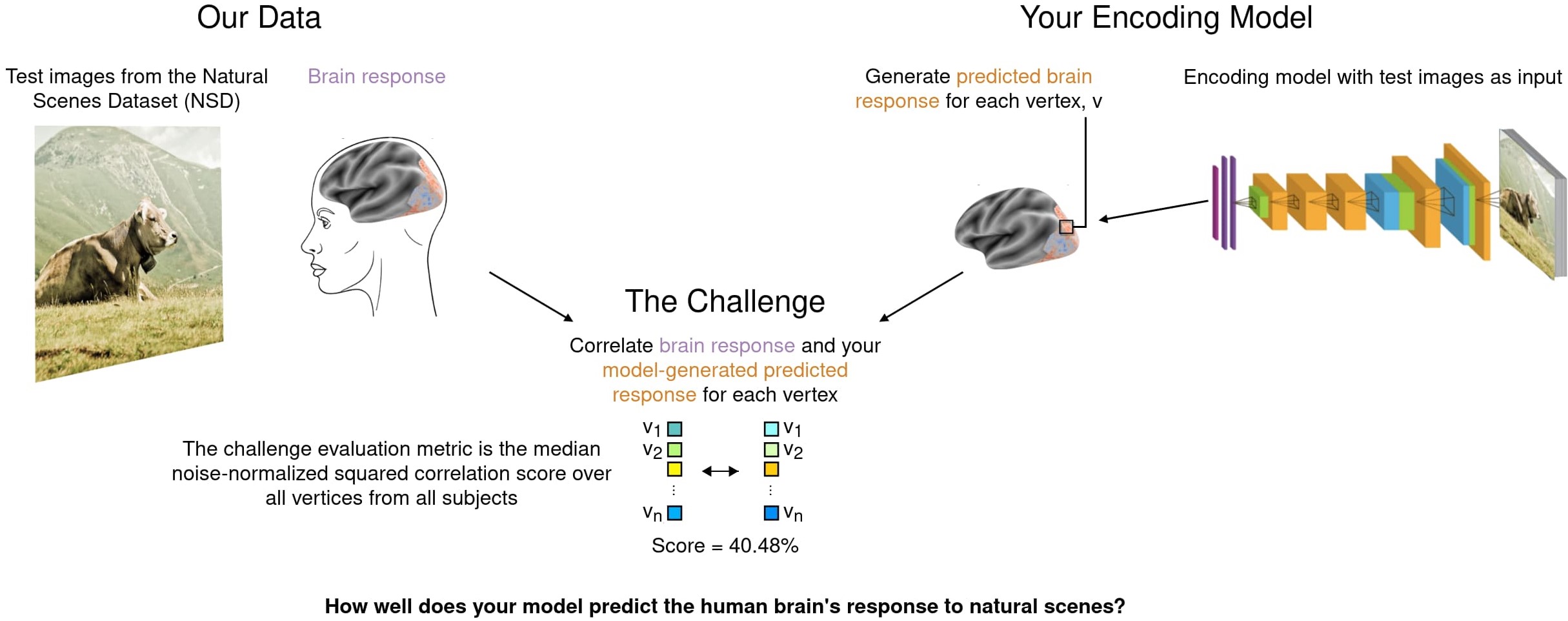 Ad Analysis: Brain Out vs. Brain Test - MobileAction Blog
